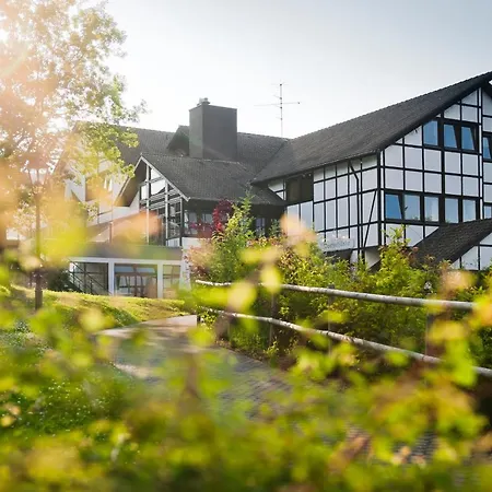 Ferienhaus Ahorn 19 - #127722
